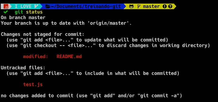 terminal após git status